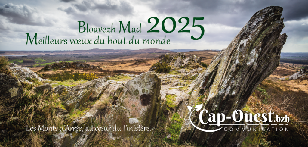 Bonne année 2025